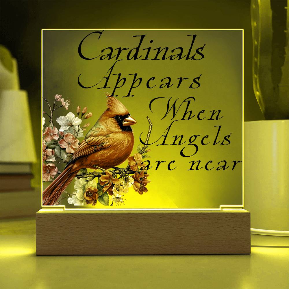 Cardinal Appears Acrylic Plaque LED Corded Base Jewelry Giftinum