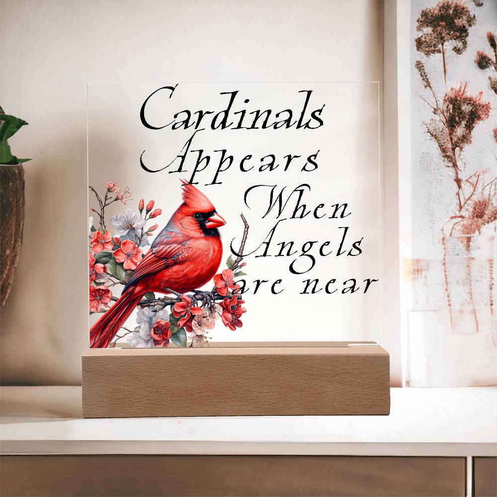 Cardinal Appears Acrylic Plaque LED Corded Base Jewelry Giftinum