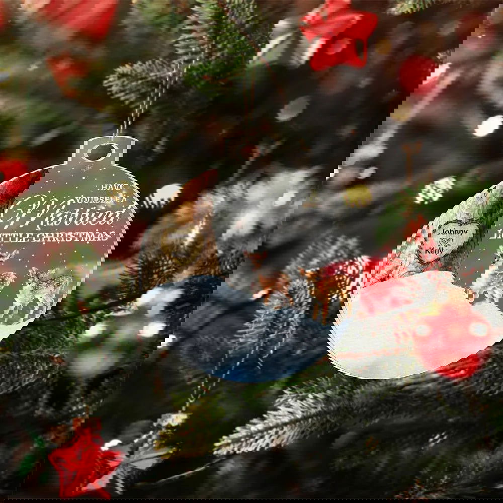 Have Yourself a Married Little Christmas Acrylic Ornament - Giftinum