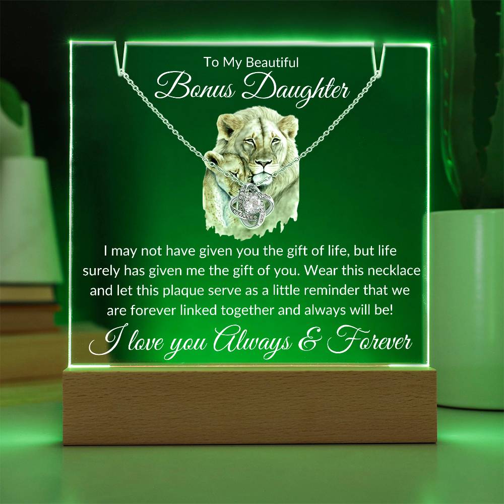 Bonus Daughter Acrylic Plaque & Necklace Gift Bundle