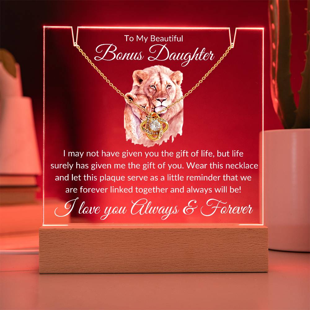 Bonus Daughter Acrylic Plaque & Necklace Gift Bundle