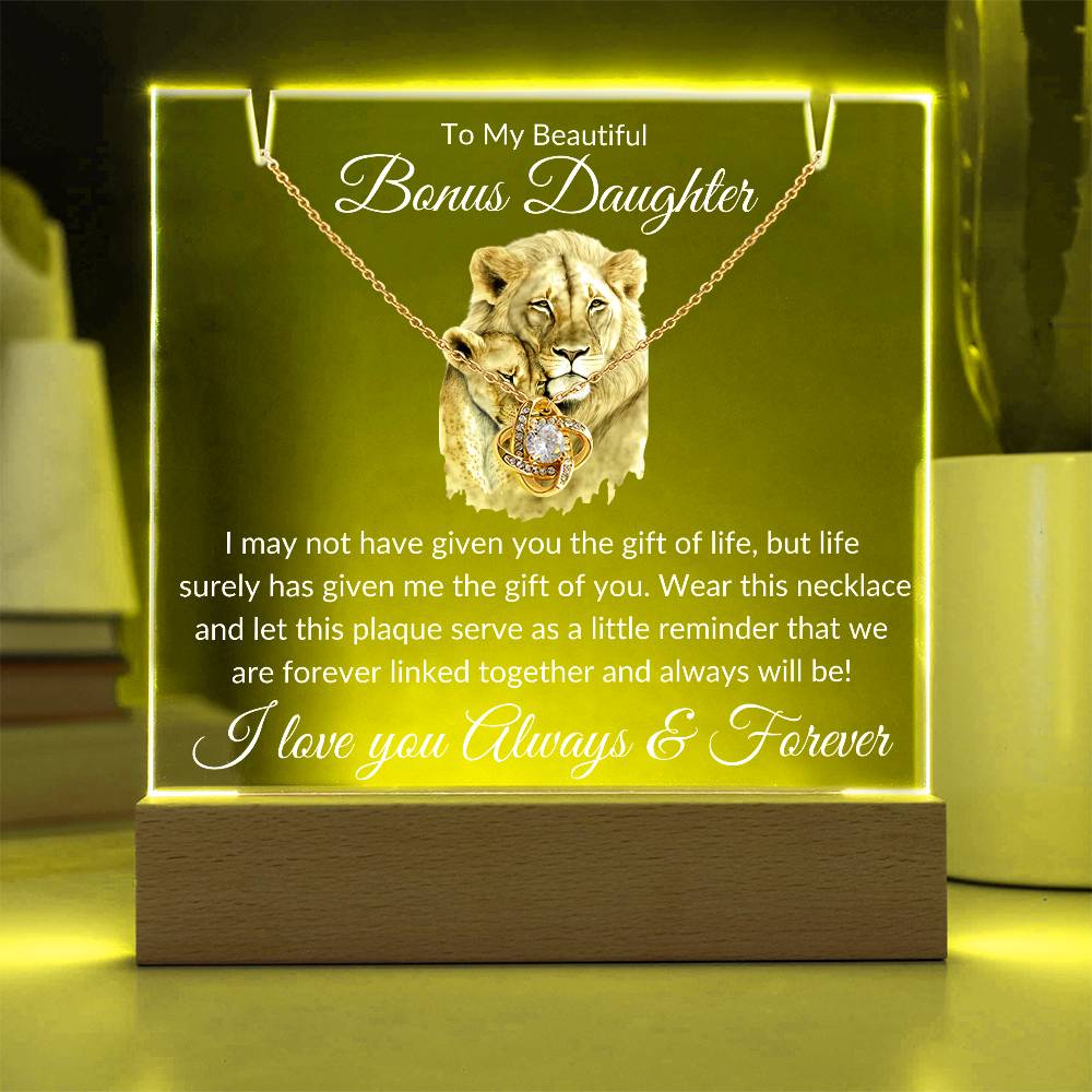 Bonus Daughter Acrylic Plaque & Necklace Gift Bundle