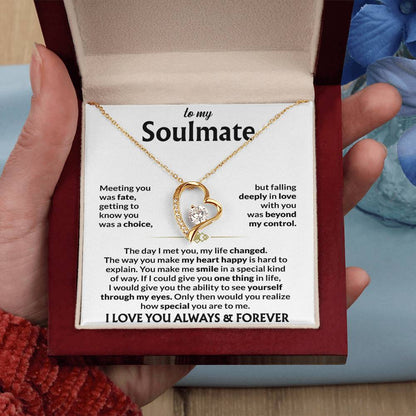 To My Soulmate - Meeting you was fate Jewelry Giftinum